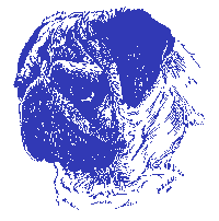 PugHead_left.gif (3030 bytes)