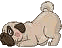 pug_back.jpg (735 bytes)